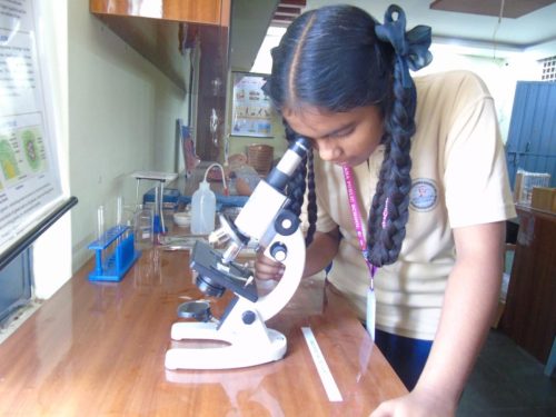 WhatsApp Image 2025-12-02 at 13.32.55_8b11488d